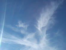 21198_479297152115317_1978043576_n